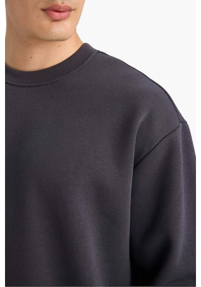 Defacto Relax Fit Bisiklet Yaka Kalın İçi Yumuşak Tüylü Basic Düz Sweatshirt T5139az25auar138 Antrasit