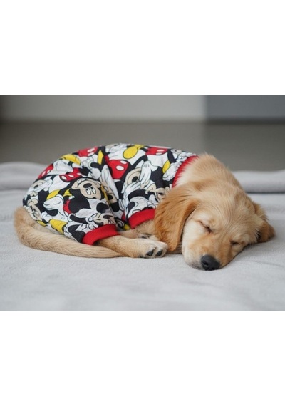 Miniş Mikili Kırmızılı Küçük Irk Köpek Esnek Sweatshirt Penye Tulum Pijama -21597