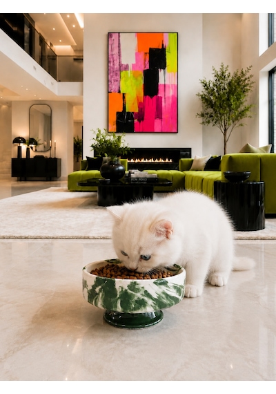 Mama Kabı Kedi Ve Köpek 1 Adet Doğal Mama Veya Su Kabı Yeşil Marble