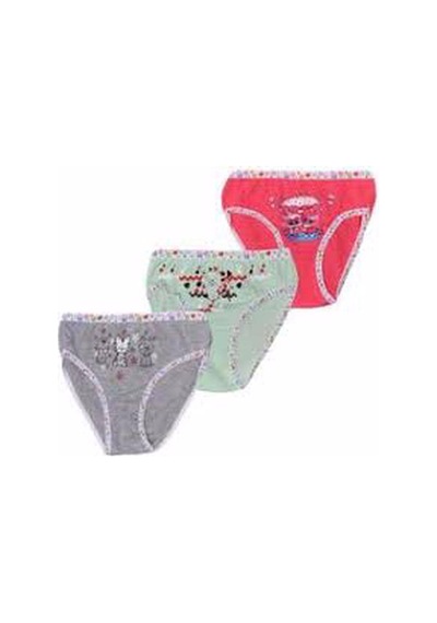 Tutku Kız Çocuk Renkli Likralı Slip Külot 6'Lı