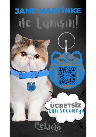 Petjoo 5.Jane Martinke Gri-Mavi Qr'lı Kedi Künyesi