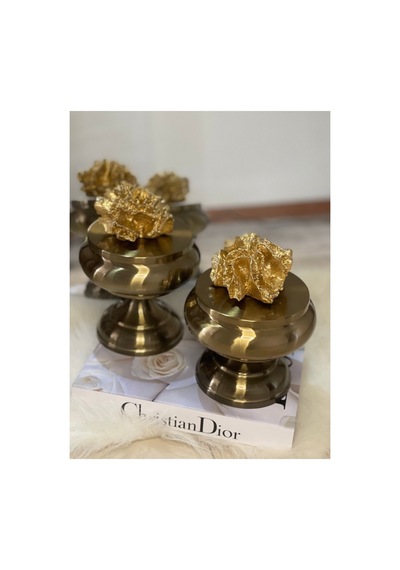 Fleurs Chic Gold Dekoratif İkili Mercan Küre