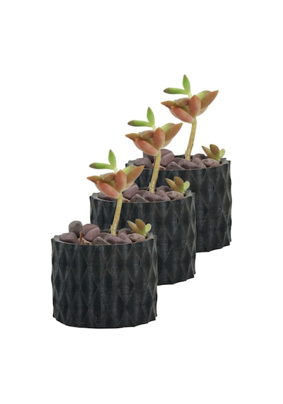 Mini Çiçek Saksı Küçük Sukulent Siyah Kaktüs Saksısı 3'lü Set Baklava Çizgili Model