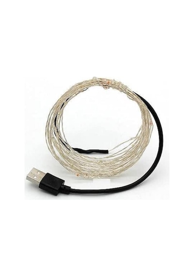 Peri Led 10 Metre Usb Girişli Standart