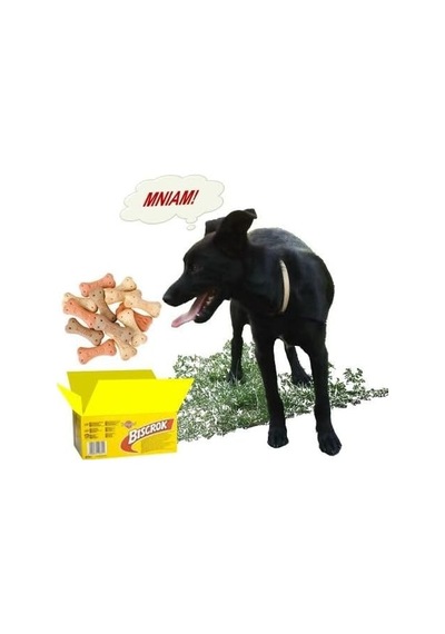 Biscrok Köpek Bisküvisi 500 Gr
