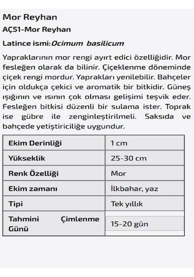 AGRodal Tarım Mor Reyhan Çiçeği Tohumu