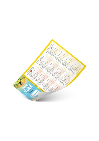 2.sınıf Yaz Tatil Kitabı Seti - Öğretmen Evde Yayınları
