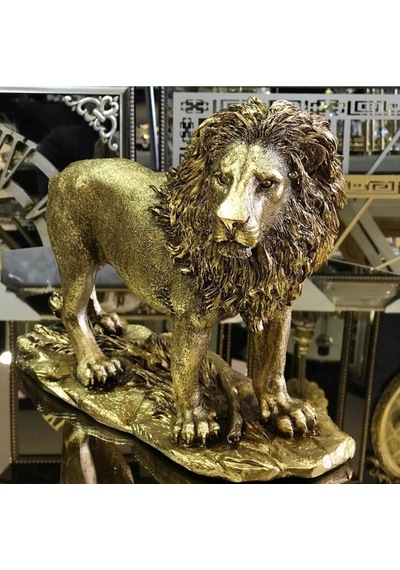 Aslan Biblo Hf248-4
