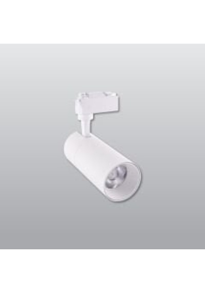 Ack Ad30-01030 10w 6500k Beyaz Kasa Led Ray Spot Armatür Çok Renkli