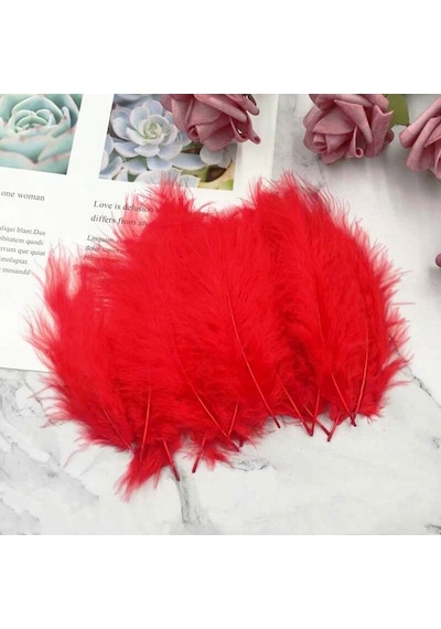 100 Adet Kırmızı Kuş Tüyü Decor Vıp Red Bırd Feather Kırmızı Şeffaf Balon Tüyü Kırmızı Süsleme Tüyü