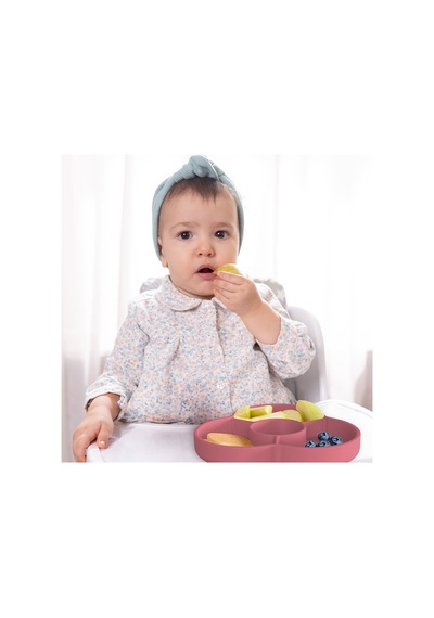 Wee Baby Nanninom Silikon Sürprizli Tabak Pembe