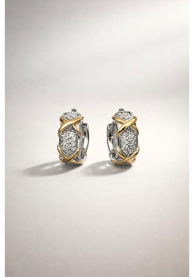 Gümüş Ve Altın Rengi Halkalı Kadın Küpe Altın - Gümüş