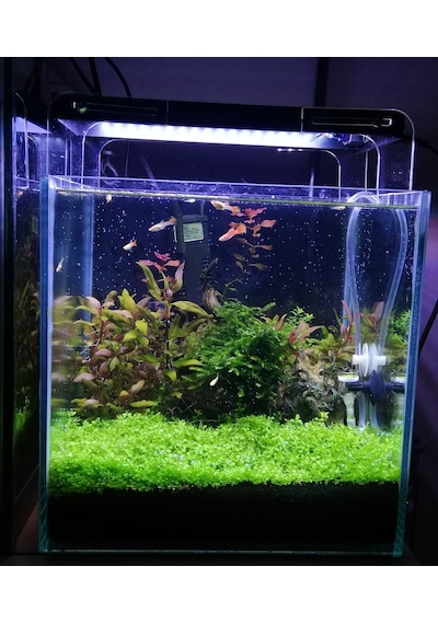 Armatürk 1030H Akvaryum Armatürü 30 CM