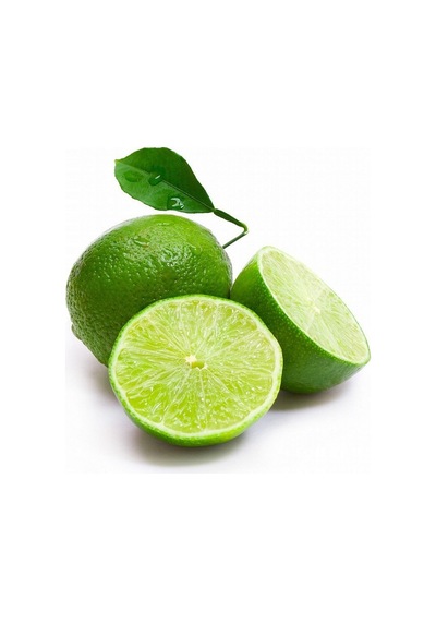 2 Yaş Aşılı Tahiti Lime Yeşil Limon Fidanı. Torbada
