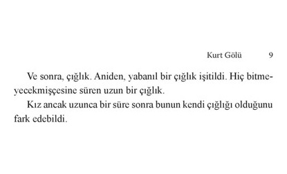 Kurt Gölü - Edebiyat Romanı, Gizemli Olaylar