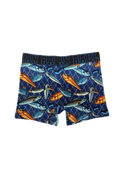 Boxer - Fısh