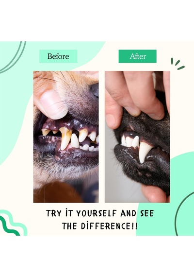 Kedi Suya Damlatılan Koku Önleyici Ağız Ve Diş Bakım Damlası