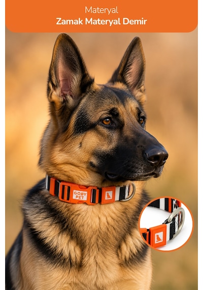 Köpekler İçin Dayanıklı Ve Güvenli, Desenli Boyun Tasması 25mm Çizgili