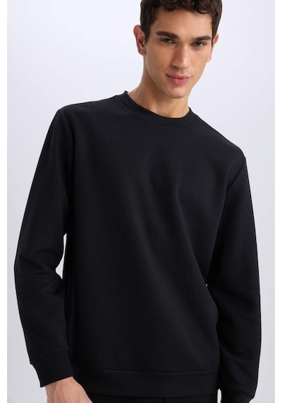 DeFacto Regular Fit Bisiklet Yaka Basic Düz Sweatshirt D7231AX25SPBK81