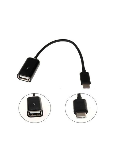 Aurıs Ad06 Otg Type-C To Usb Kutulu