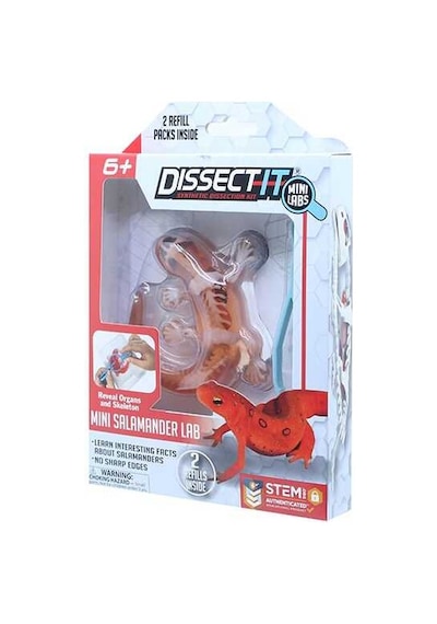 Slimy Dissect İt Mini With Magnifying Glass 38085