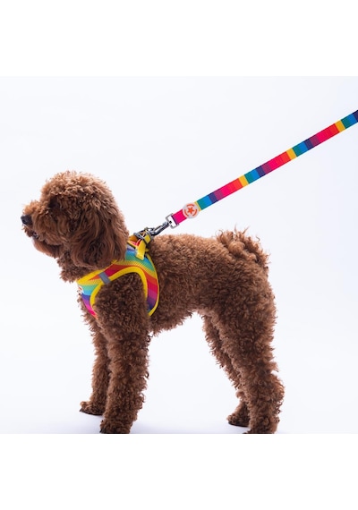 Rainbow Leash Gökkuşağı Desenli Kedi Köpek Sevk & Gezdirme Kayışı Köpek Uzatma Tasması Çok Renkli