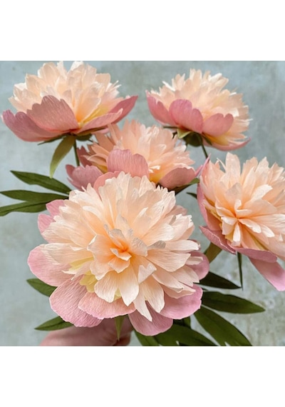 İtalyan Krapon Kağıdı No:205, Çiçek, Dıy, El İşi Kağıdı, 60 Gr - 50x250cm, Pastel Pembe