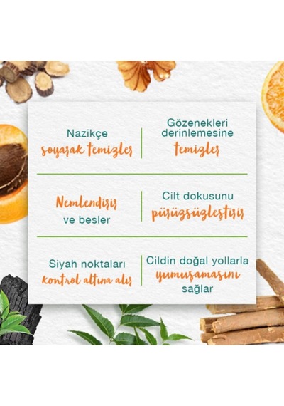 Tr Since 1930 Siyah Nokta Karşıtı Yüz Temizleyici Scrub, Peeling Etkili, Elma, Ceviz, Tüm Ciltler, 75 Ml