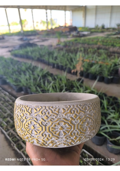 Dantel Desenli Bonsai Aranjman Ve Orkide Saksısı No 1