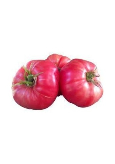 25 Adet Nadir İri Pembe Domates Tohumu + Sebze Tohumu