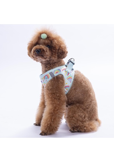 Joyful Colors Göğüs Tasması Ve Sevk Kayışı Tasma Seti Gökkuşağı Desenli Kedi Köpek Göğüs Tasması Seti Mavi