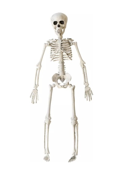 Cadılar Bayramı Halloween İskelet Şekil Alabilen 40 Cm Tüm Yaşlar
