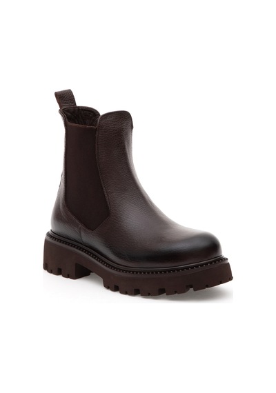 Pierre Cardin Kadın Kahverengi Ayakkabı 50300071-vr029 Kahverengi