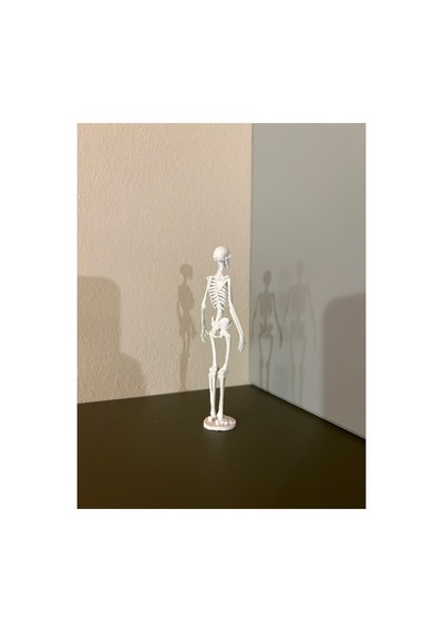 İnsan İskelet Kemiği Anatomisi Maketi Tıp Ve Eğitim İçin 3d Baskı Masaüstü Dekoratif Model