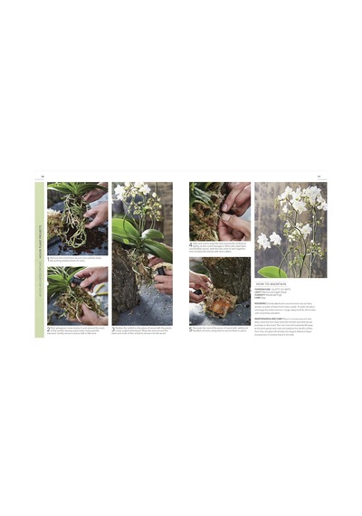 Rhs Practical House Plant Book: Choose The Best, Display Creatively, Nurture And Care, 175 Plant Profiles