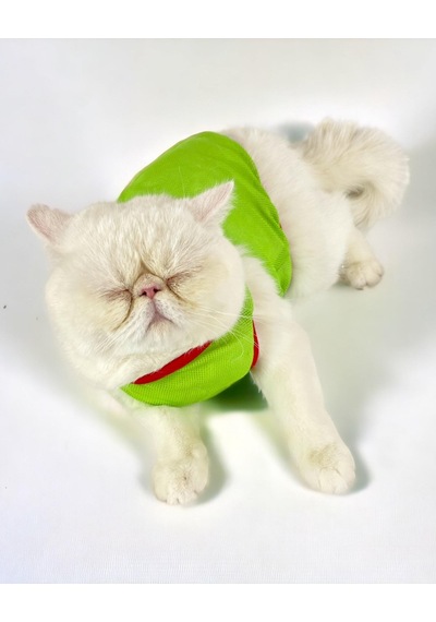 Kemique Pink Strawberry Atlet Kedi Kıyafeti Kedi Elbisesi