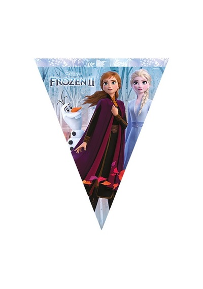 Frozen Temalı Bayrak Flama Tüm Yaşlar