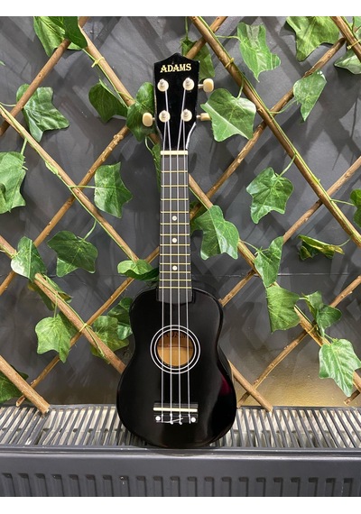 54 Cm Soprano Siyah Ukulele Kılıf Ve Pena Dahil