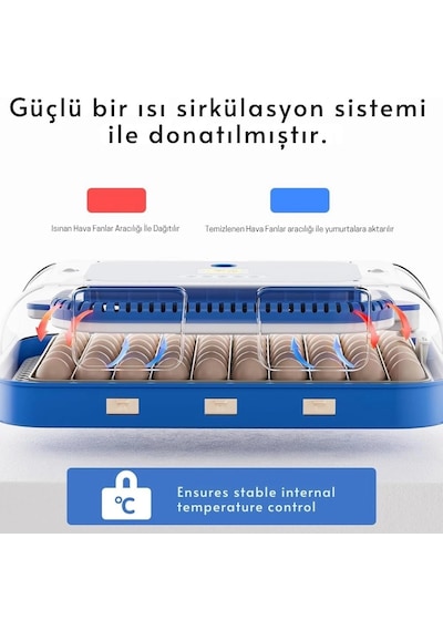70 Yumurta Kapasiteli Tam Otomatik Kuluçka Makinesi Nem Kontrollü, Kaz Uyumlu, Dijital Sistem