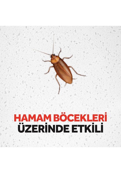 Hamam Böceği Yemi