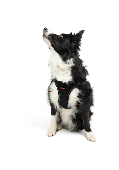 Air-Mesh Küçük ve Orta Irk Kedi Köpek Göğüs Tasması - Yumuşak, Nefes Alabilir, Dayanıklı SİYAH L
