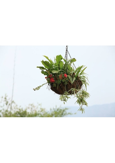 Gardener Ko-Ko Zincir Askılı Sepet Çap 30 CM