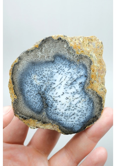 Merlinite Dendritik Opal - Mavi Ve Beyaz Dendritik Opal Çift
