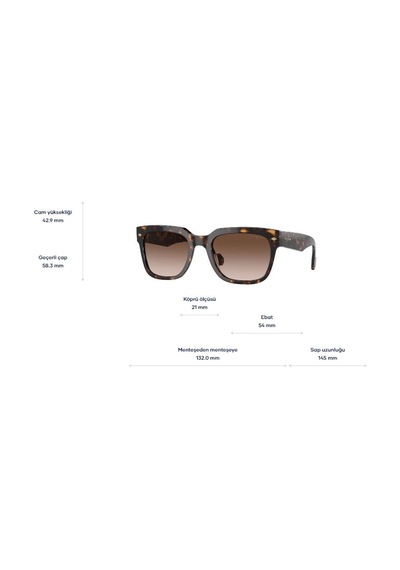Vogue 5409s W65613 54-21- 145 Dark Havana Erkek Güneş Gözlüğü
