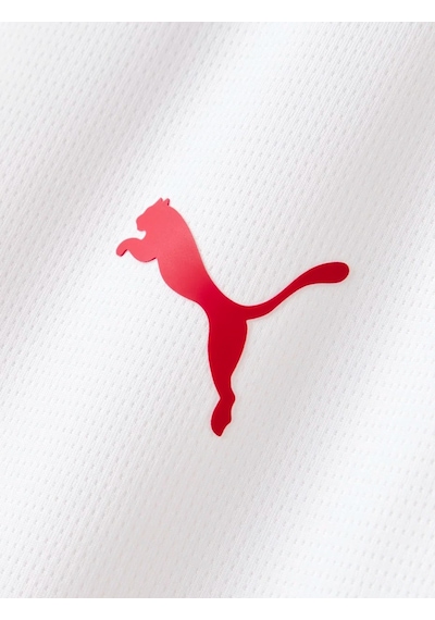Galatasaray S.k. Beyaz Forma 26/27 Alternatif Forma 5 Yıldızlı Erkek Forma