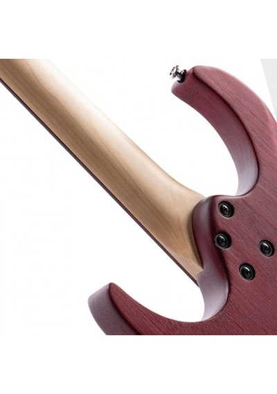 Cort X100 Opbc Elektro Gitar + Kılıf