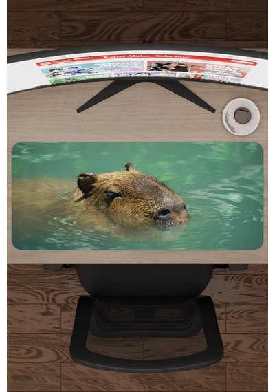 Capybara Kaymaz Dikişli Kauçuk Oyuncu Mousepad V2 - 70x30 Xl Gaming Mouse Pad Fare Altlığı