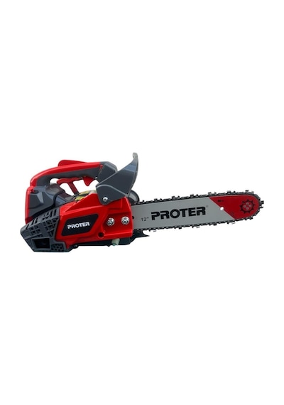 Proter PGS 4250 Eu Benzinli Dal Budama Motoru