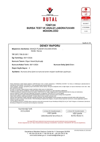 Bahçe Piladar Olgun Hasat Natürel Sızma Zeytinyağı 5 Lt Teneke 2024-2025 Hasat