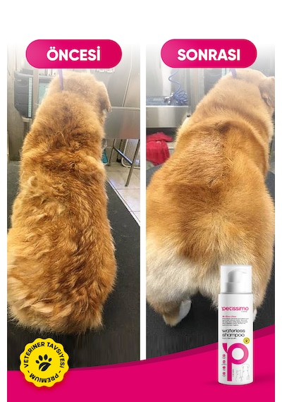 Petissimo Care Kuru Köpek Şampuanı - Bit Pire Kene Ve Parazit Önleyici - Tüy Dökülmesi Karşıtı - 200 Ml